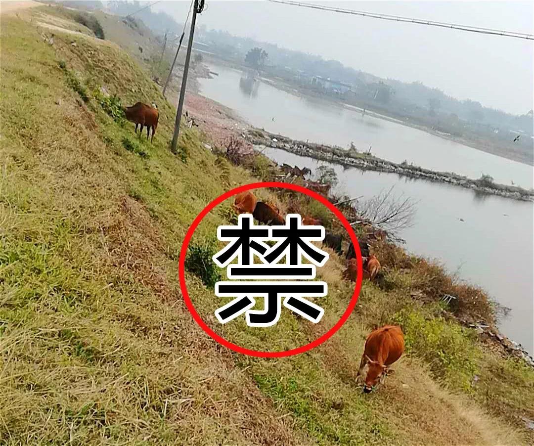 微信图片_20180227180239.JPG